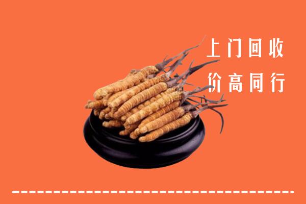 高价求购：成都回收散虫草