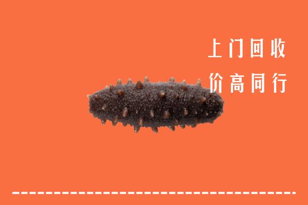 高价求购：成都回收海参