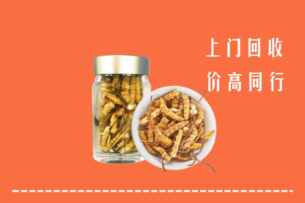 成都回收冬虫夏草