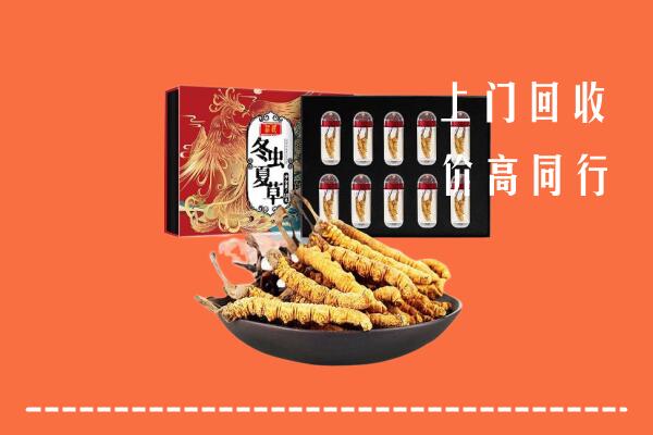成都回收虫草